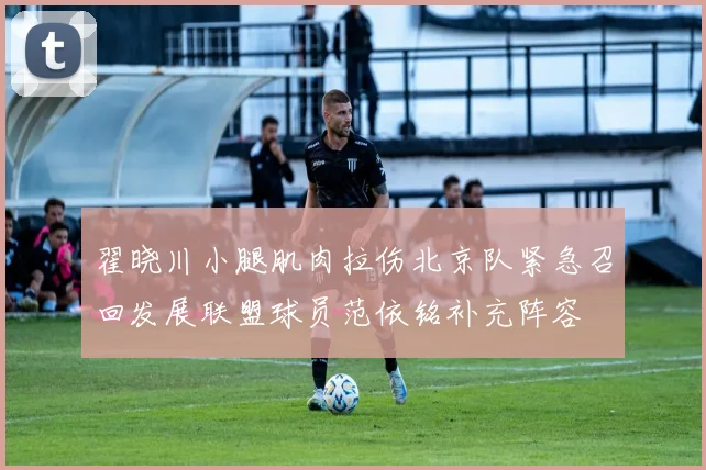 翟晓川小腿肌肉拉伤北京队紧急召回发展联盟球员范依铭补充阵容
