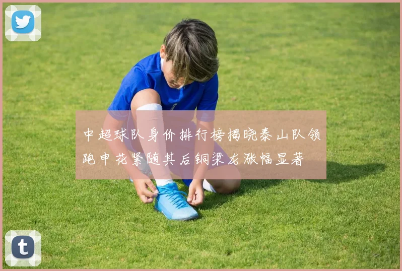 中超球队身价排行榜揭晓泰山队领跑申花紧随其后铜梁龙涨幅显著